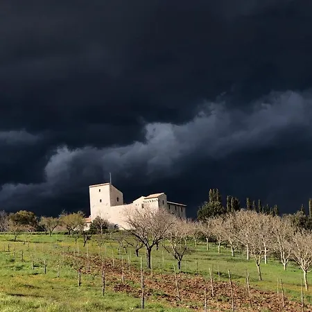 Torre D'orlando Agroturismo